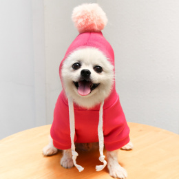 Różowa Bluza dla Psa z Kapturem i Pomponem
