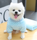 Niebieski sweter dla psa