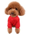 Czerwona bluza dla psa