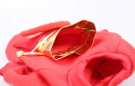 Świąteczna bluza czerwono-złota dla Psa Kota